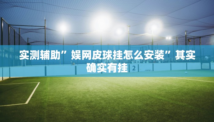实测辅助”德扑之星辅助透视软件”其实确实有挂