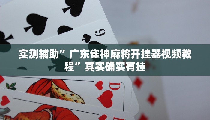 实测辅助”AApoker辅助透视作弊软件”其实确实有挂