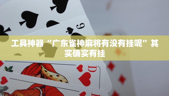 实测辅助”博乐填大坑开挂怎么买”其实确实有挂