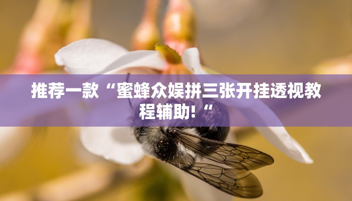 实测辅助”享博棋牌辅助开挂”其实确实有挂
