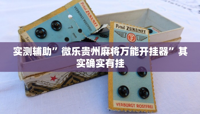 实测辅助”微乐贵州麻将万能开挂器”其实确实有挂