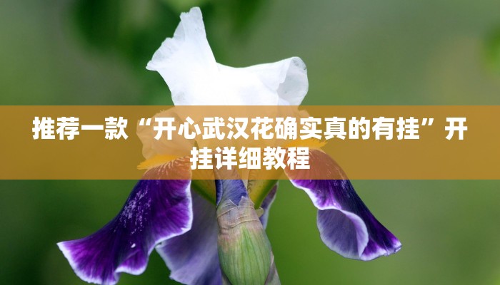 实测辅助”亲友圈麻将软件”其实确实有挂