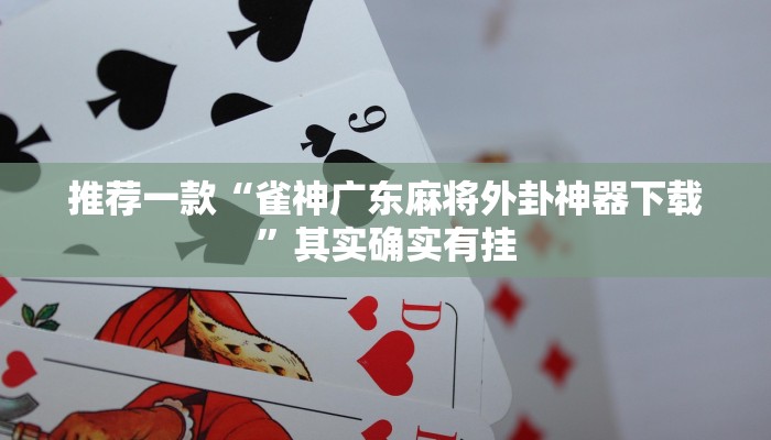 工具神器“胡乐麻将开挂神器下载”其实确实有挂