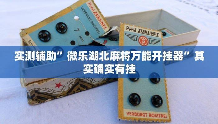 实测辅助”微乐湖北麻将万能开挂器”其实确实有挂