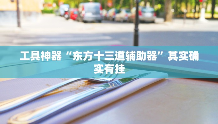 工具神器“东方十三道辅助器”其实确实有挂