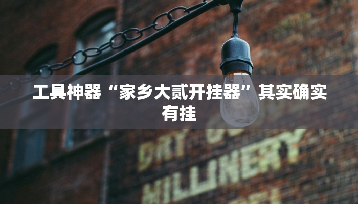 工具神器“家乡大贰开挂器”其实确实有挂