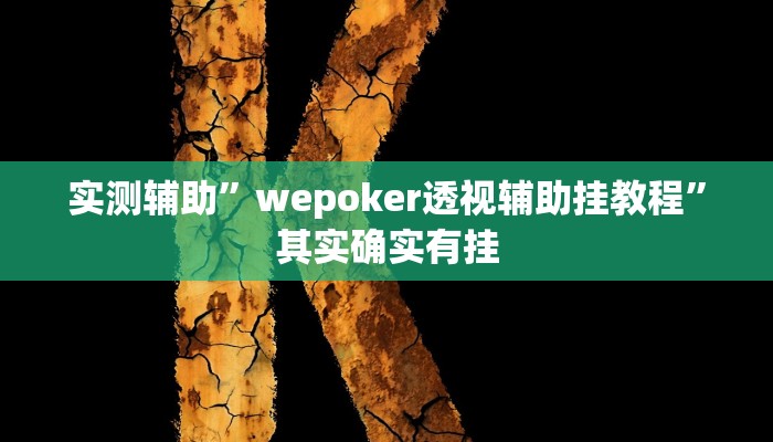 实测辅助”皮皮湖南麻将挂怎么安装”其实确实有挂