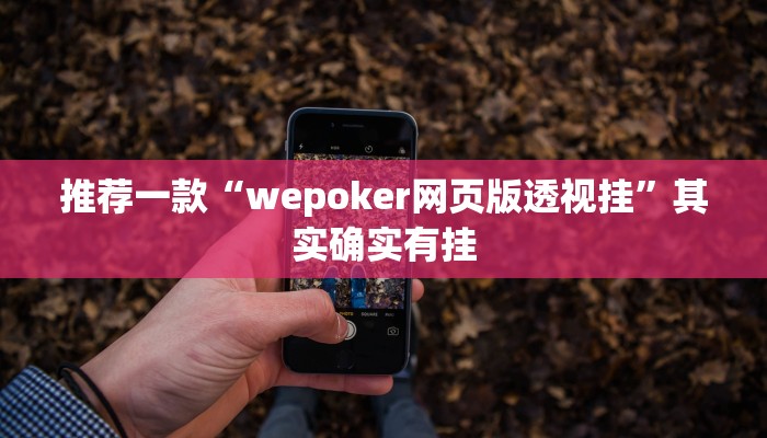 教程辅助!“八闽十三张怎么开挂教程辅助!“