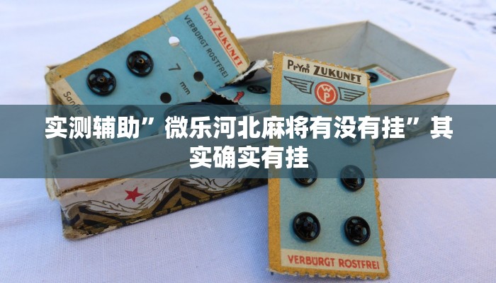 实测辅助”微乐安徽麻将开挂教程”其实确实有挂