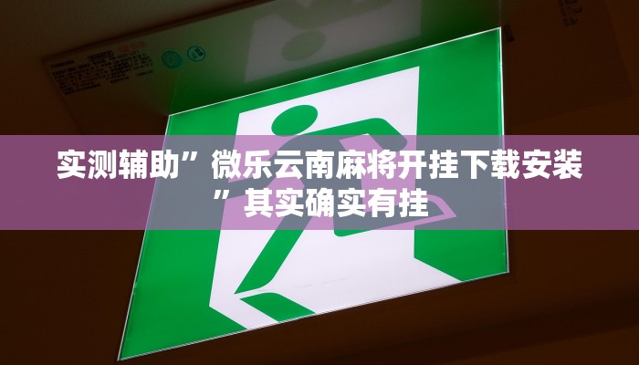 实测辅助”享博棋牌开挂教程”其实确实有挂
