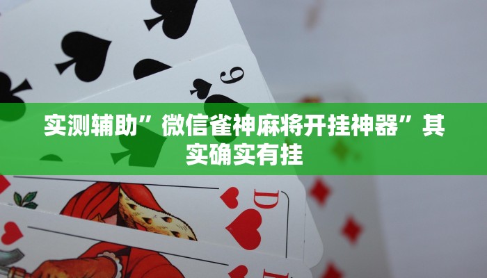 实测辅助”(wepoker)透视挂辅助教程”其实确实有挂