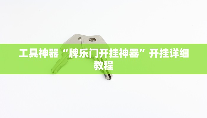工具神器“牌乐门开挂神器”开挂详细教程