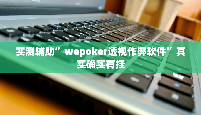 实测辅助”wepoker透视作弊软件”其实确实有挂