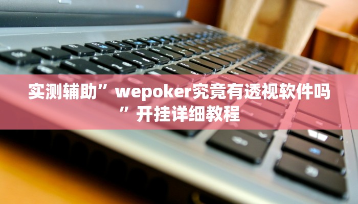 实测辅助”wepoker究竟有透视软件吗”开挂详细教程