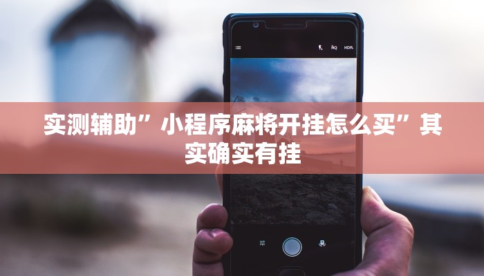 实测辅助”小程序麻将开挂怎么买”其实确实有挂
