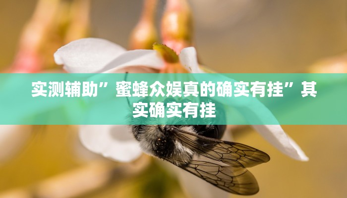 实测辅助”哈局十三张怎么开挂”其实确实有挂