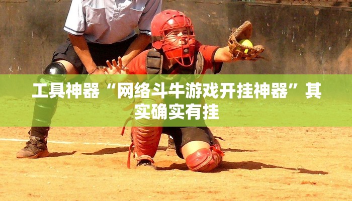 工具神器“网络斗牛游戏开挂神器”其实确实有挂
