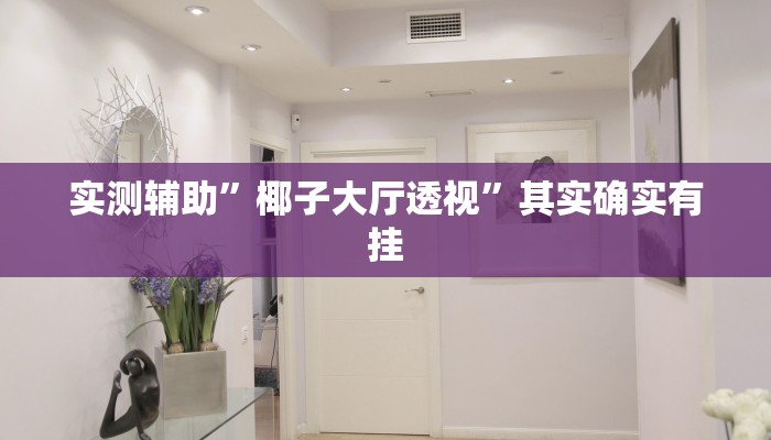 实测辅助”椰子大厅透视”其实确实有挂