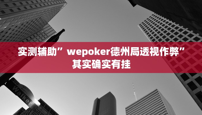实测辅助”wepoker德州局透视作弊”其实确实有挂
