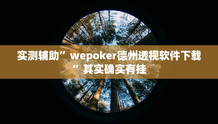 实测辅助”wepoker德州透视软件下载”其实确实有挂