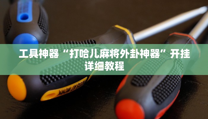 工具神器“打哈儿麻将外卦神器”开挂详细教程