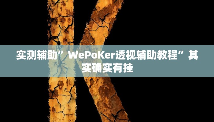 实测辅助”WePoKer透视辅助教程”其实确实有挂
