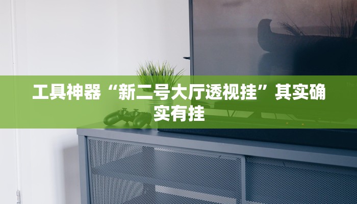 实测辅助”旺旺福建麻将有挂吗”其实确实有挂