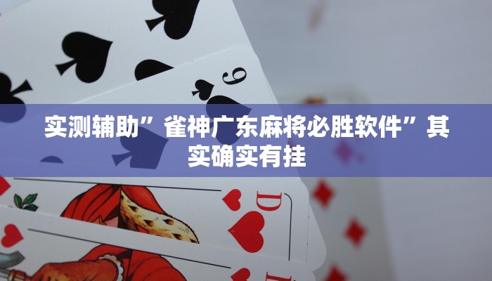 实测辅助”雀神广东麻将必胜软件”其实确实有挂