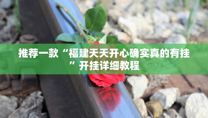推荐一款“福建天天开心确实真的有挂”开挂详细教程