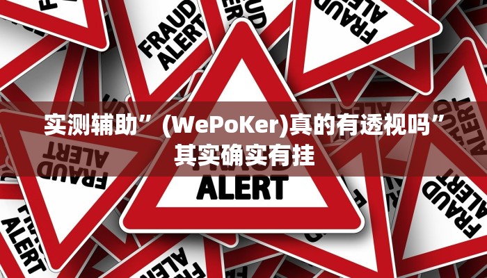 实测辅助”(WePoKer)真的有透视吗”其实确实有挂
