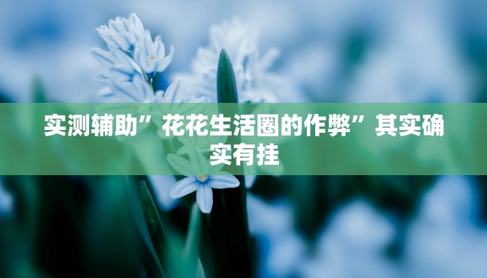 实测辅助”花花生活圈的作弊”其实确实有挂