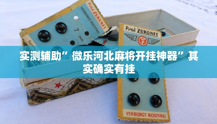 实测辅助”微乐河北麻将开挂神器”其实确实有挂