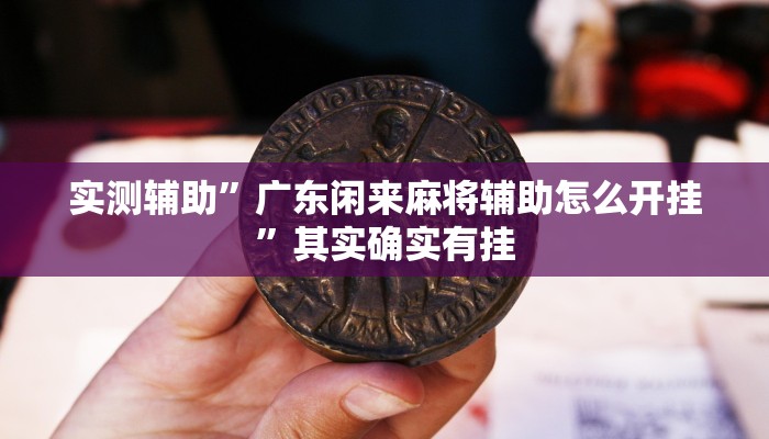 实测辅助”广东闲来麻将辅助怎么开挂”其实确实有挂
