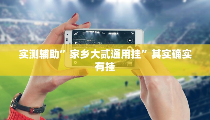 实测辅助”家乡大贰通用挂”其实确实有挂
