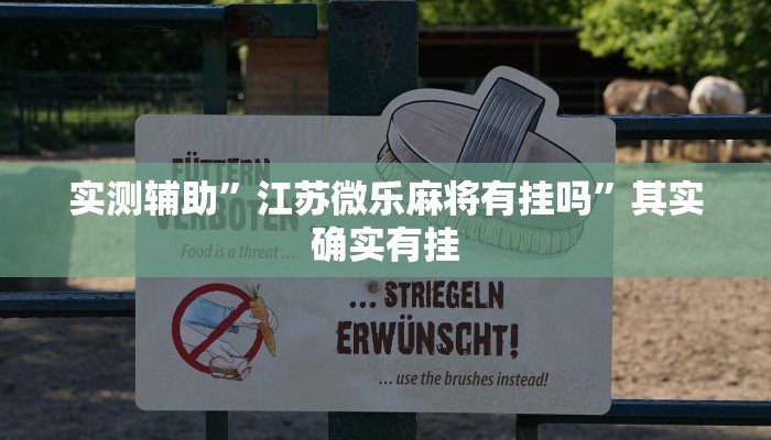 实测辅助”瓜瓜丰城助赢神器”其实确实有挂