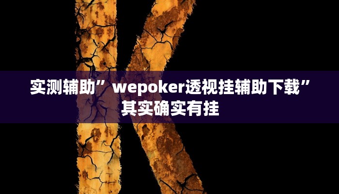 实测辅助”wepoker透视挂辅助下载”其实确实有挂