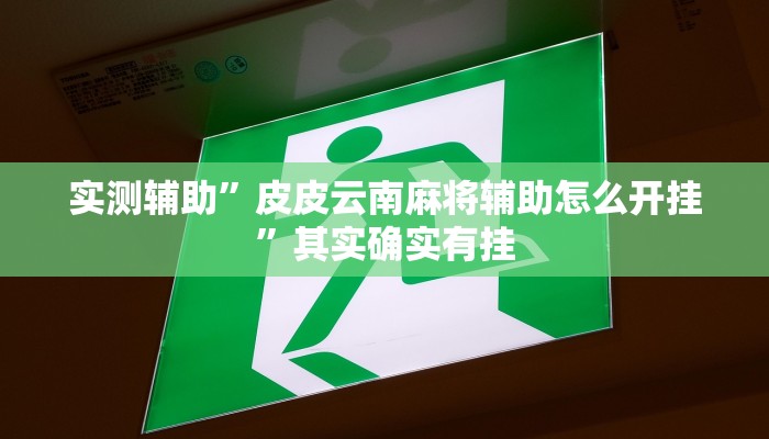 实测辅助”皮皮云南麻将辅助怎么开挂”其实确实有挂