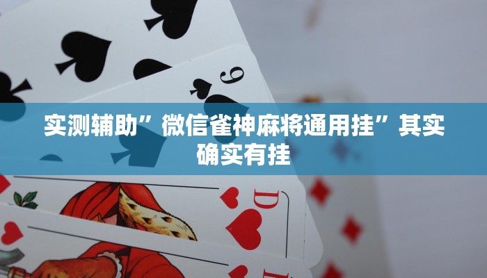 实测辅助”山水云南麻将万能挂”其实确实有挂
