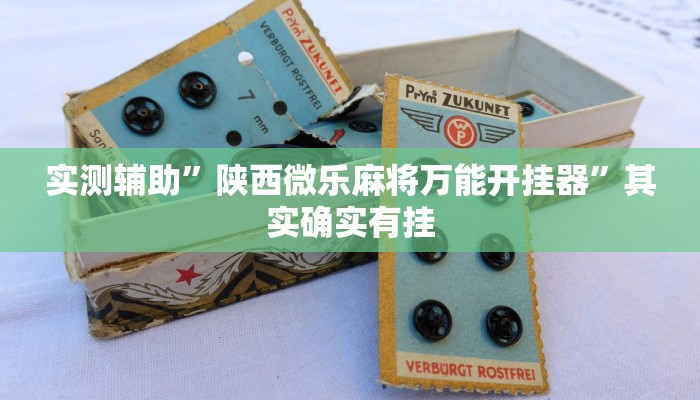 实测辅助”陕西微乐麻将万能开挂器”其实确实有挂