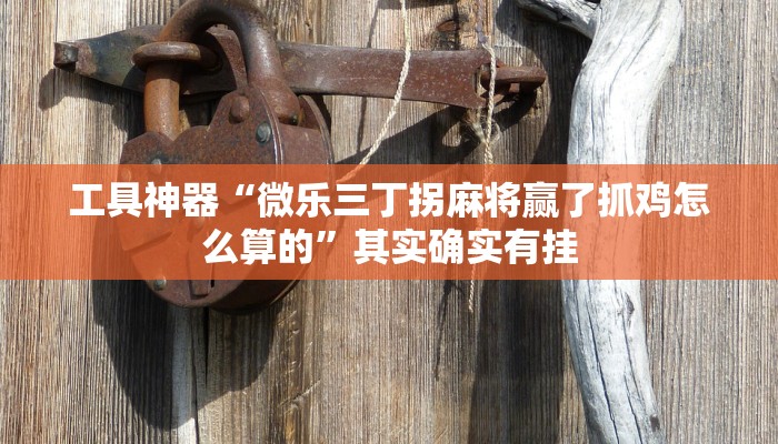 工具神器“微乐三丁拐麻将赢了抓鸡怎么算的”其实确实有挂