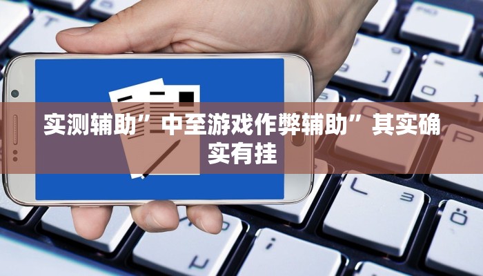 实测辅助”中至游戏作弊辅助”其实确实有挂