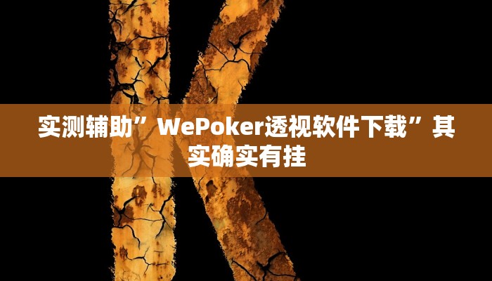 实测辅助”WePoker透视软件下载”其实确实有挂