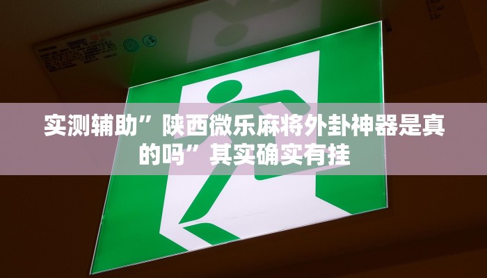 实测辅助”陕西微乐麻将外卦神器是真的吗”其实确实有挂