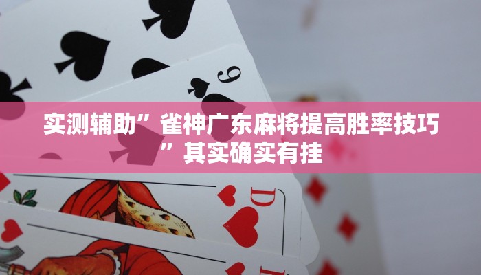 实测辅助”雀神广东麻将提高胜率技巧”其实确实有挂