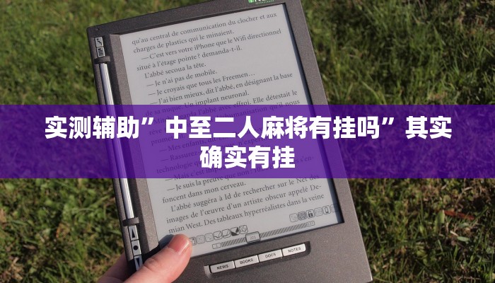 实测辅助”中至二人麻将有挂吗”其实确实有挂