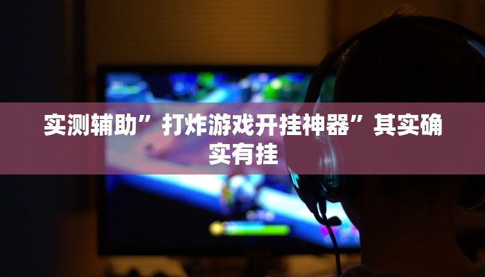实测辅助”打炸游戏开挂神器”其实确实有挂