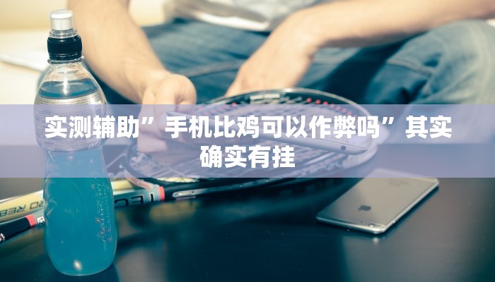 实测辅助”手机比鸡可以作弊吗”其实确实有挂