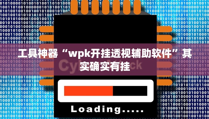 工具神器“wpk开挂透视辅助软件”其实确实有挂