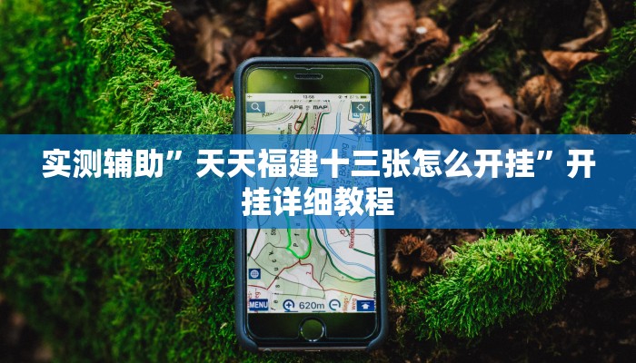 实测辅助”天天福建十三张怎么开挂”开挂详细教程