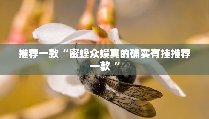 推荐一款“开心十三张开挂神器教程辅助!“